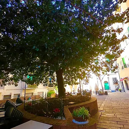 Central Savona Savona